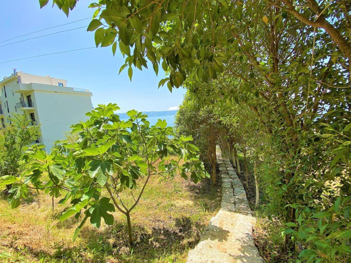 Ramo'S Green Beachside Retreat - Cozy 2 Bedroom Home Vlorë Extérieur photo