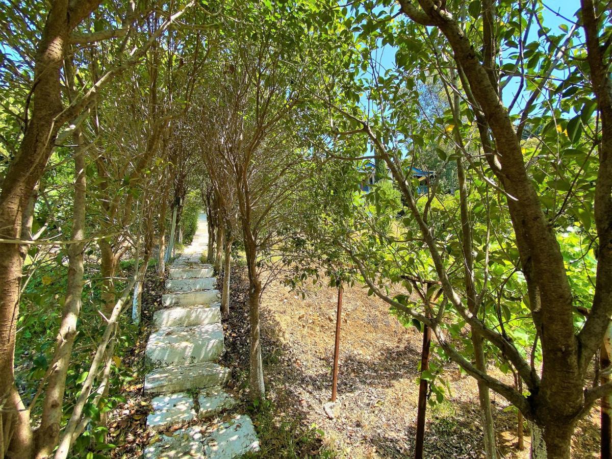 Ramo'S Green Beachside Retreat - Cozy 2 Bedroom Home Vlorë Extérieur photo
