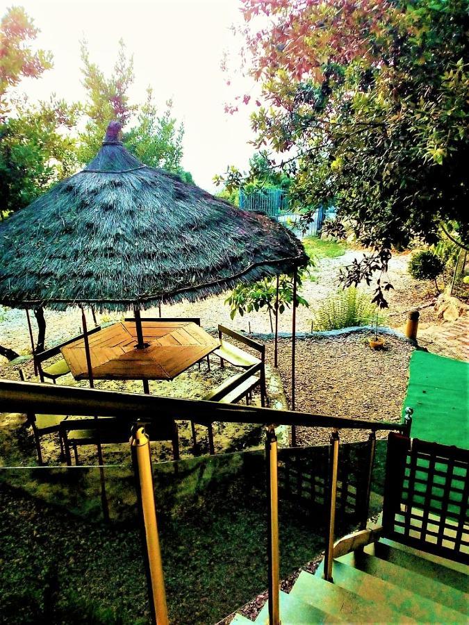 Ramo'S Green Beachside Retreat - Cozy 2 Bedroom Home Vlorë Extérieur photo